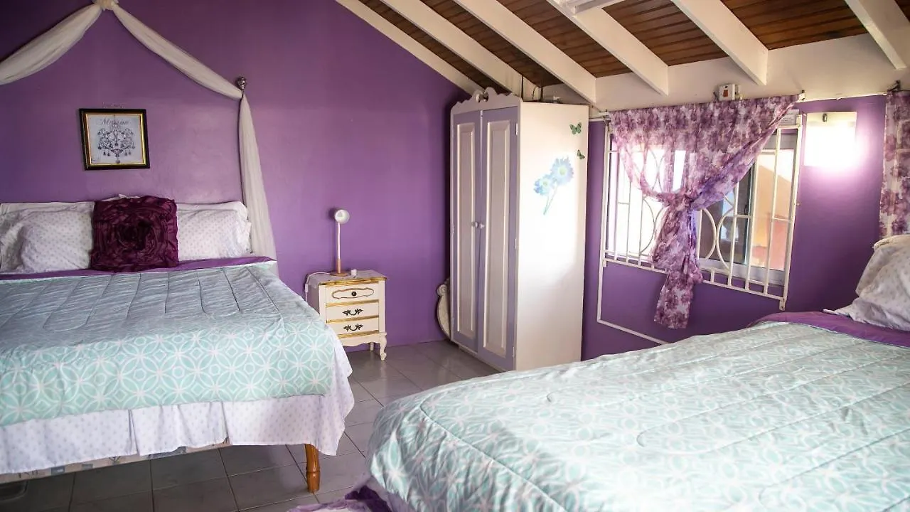 Castle Cove -Ocean Front Villa Westlands 0*,  Jamaica