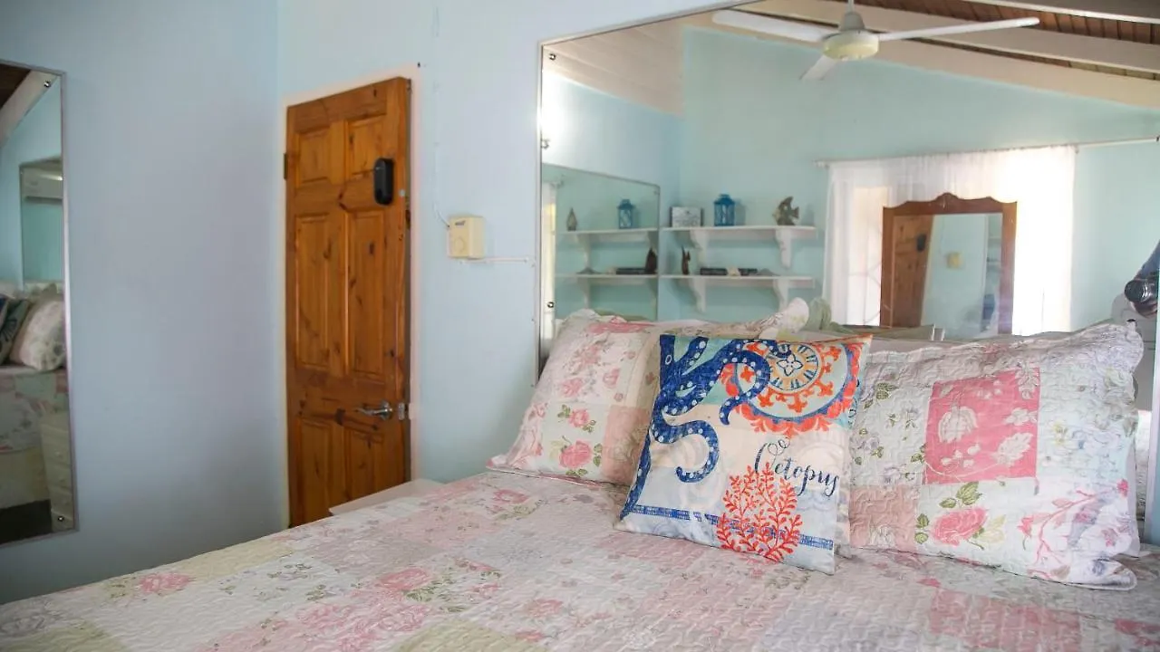 Castle Cove -Ocean Front Villa Westlands