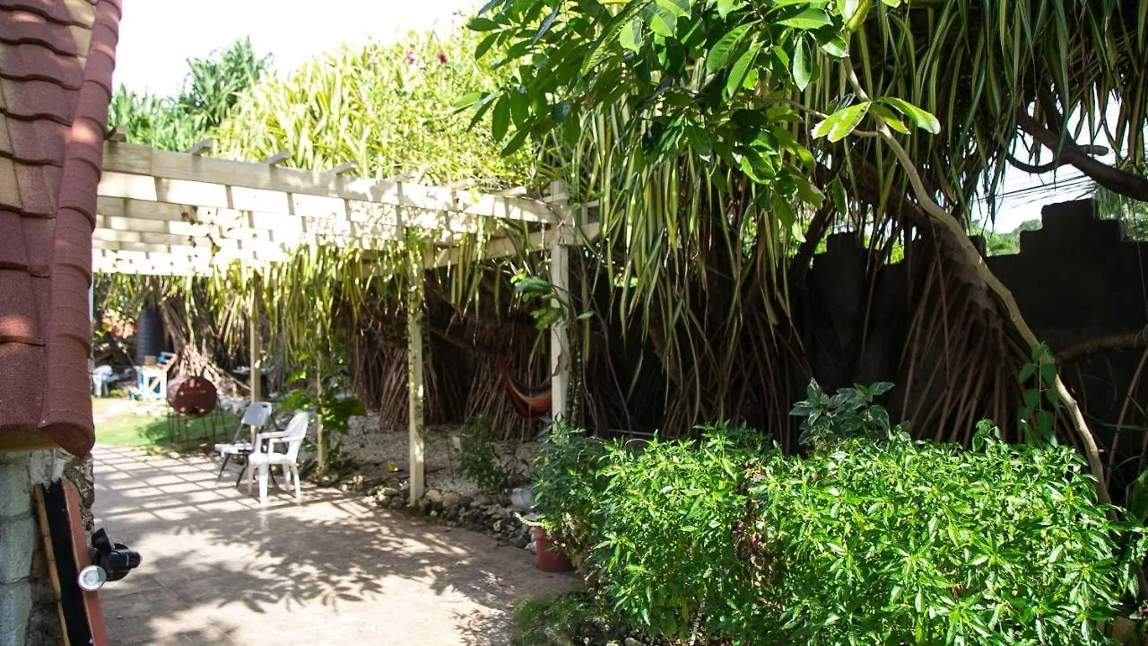 Castle Cove -Ocean Front Villa Westlands 0*,