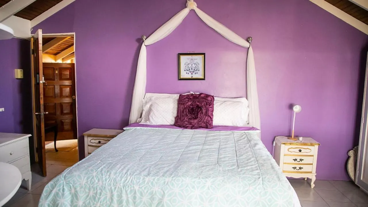 Castle Cove -Ocean Front Villa Westlands