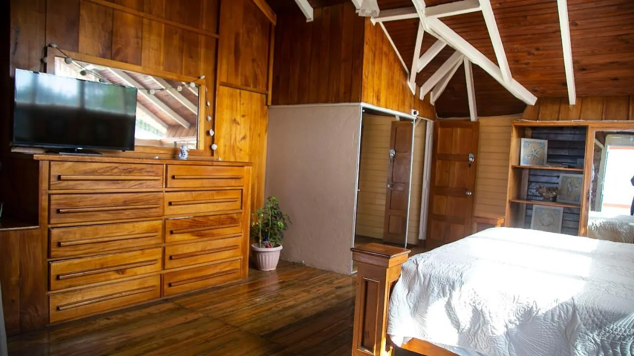 Castle Cove -Ocean Front Villa Westlands Jamaica