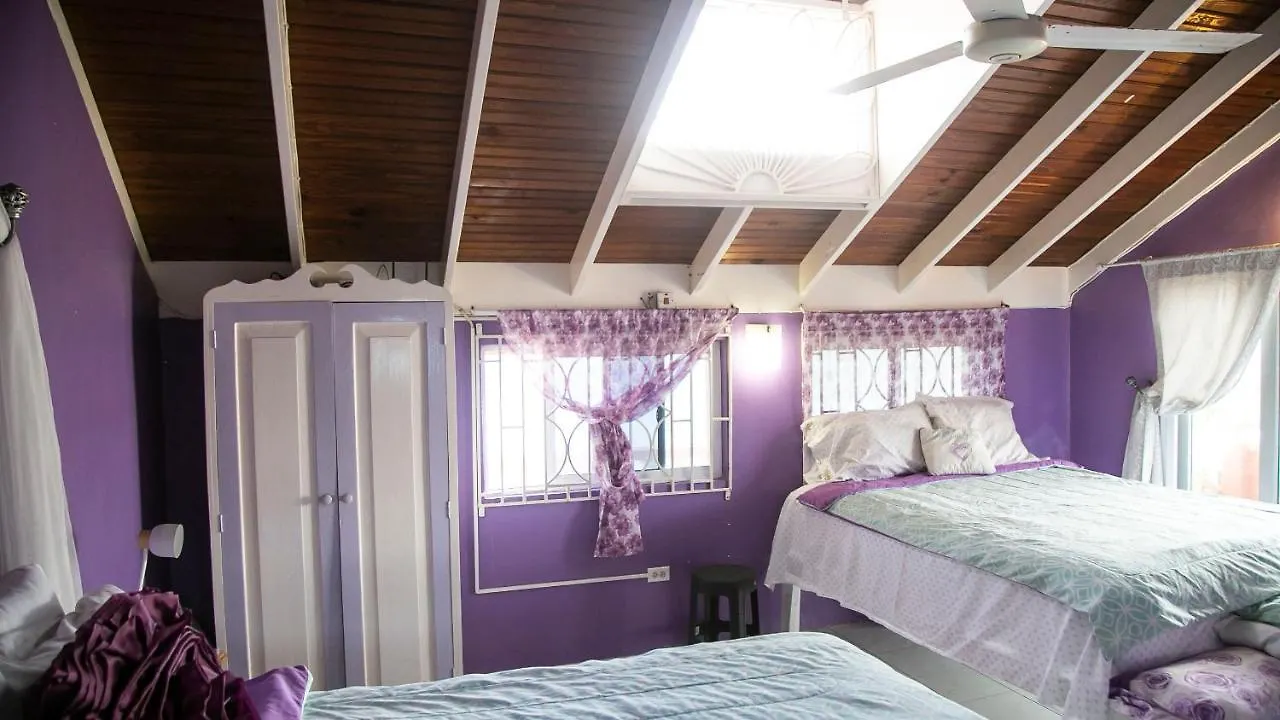 Castle Cove -Ocean Front Villa Westlands