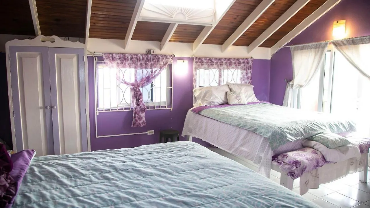 Castle Cove -Ocean Front Villa Westlands