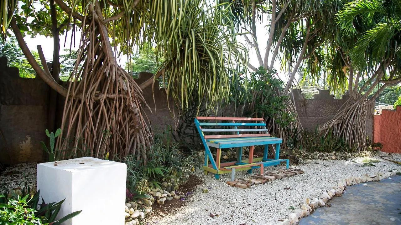 Castle Cove -Ocean Front Villa Westlands